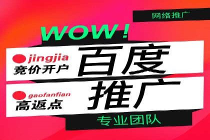 成功案例分享：网络推广与竞价如何结合